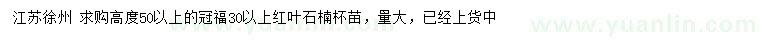 求購高50公分以上紅葉石楠