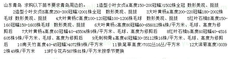 求購小葉女貞、大葉黃楊、紅葉石楠等