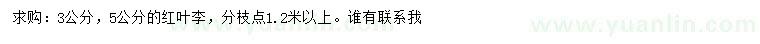 求購(gòu)3、5公分紅葉李