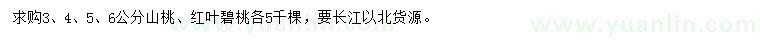 求購3、4、5、6公分山桃、紅葉碧桃