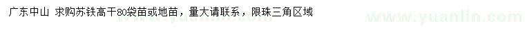 求購高桿80公分蘇鐵