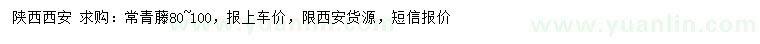 求購80-100公分常青藤
