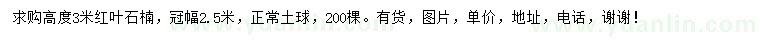 求購高3米紅葉石楠