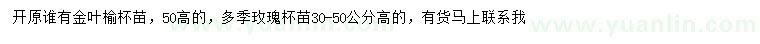 求購(gòu)高50公分金葉榆、30-50公分多季玫瑰