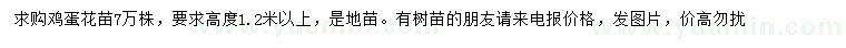 求購雞蛋花苗