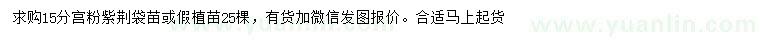 求購15公分宮粉紫荊
