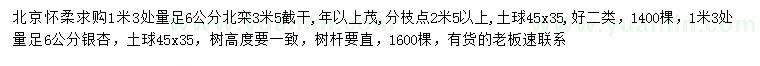 求購(gòu)1.3米處量足6公分北欒、銀杏