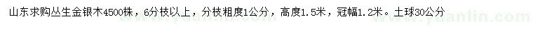 求購高1.5米叢生金銀木