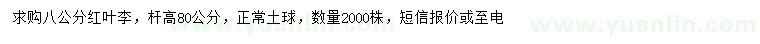 求購8公分紅葉李