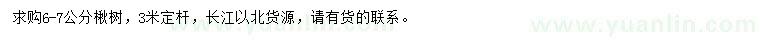 求購6-7公分楸樹