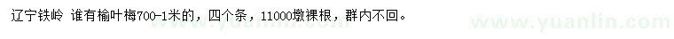 求購70-100公分榆葉梅