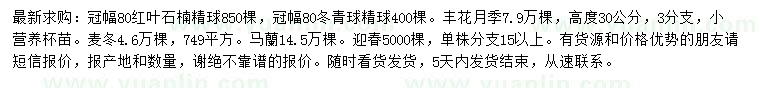 求購紅葉石楠精球、冬青球、豐花月季等