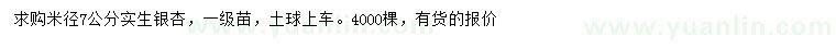 求購(gòu)米徑7公分銀杏