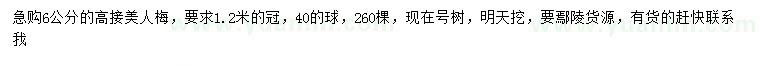 求購(gòu)6公分高接美人梅