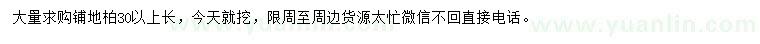 求購(gòu)30公分以上鋪地柏