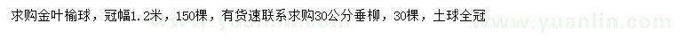 求購(gòu)冠幅1.2米金葉榆球、30公分垂柳