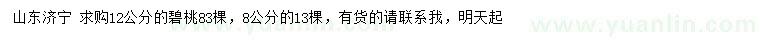 求購8、12公分碧桃