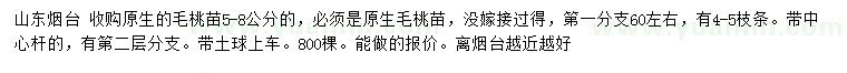 求購(gòu)5-8公分毛桃苗