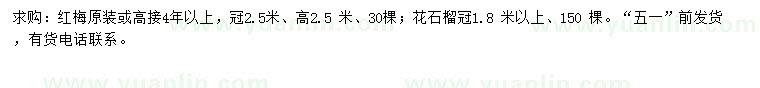 求購冠2.5米紅梅、1.8米以上花石榴