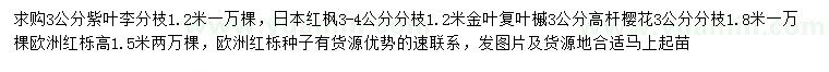 求購紫葉李、日本紅楓、金葉復(fù)葉槭等