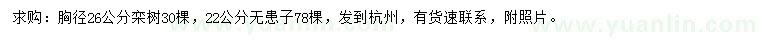 求購胸徑26公分欒樹、22公分無患子