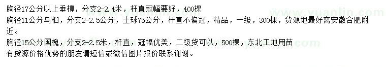 求購烏桕、垂柳、國槐