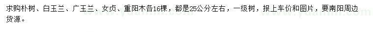 求購樸樹、白玉蘭、廣玉蘭等