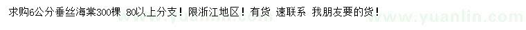 求購6公分垂絲海棠