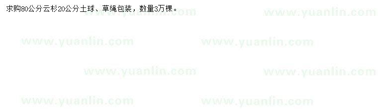 求購(gòu)80公分云杉