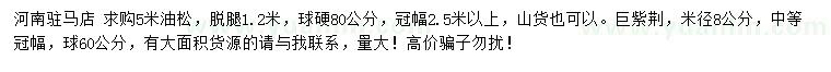 求購5米油松、米徑8公分巨紫荊