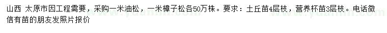 求購(gòu)1米油松、樟子松