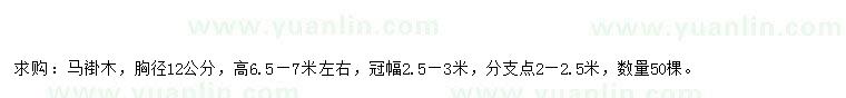 求購胸徑12公分馬褂木
