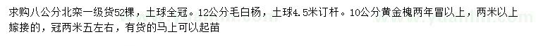 求購北欒、毛白楊、黃金槐
