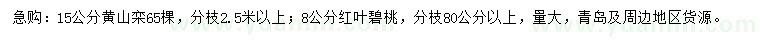 求購15公分黃山欒、8公分紅葉碧桃