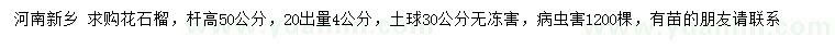 求購(gòu)20公分出量4公分花石榴