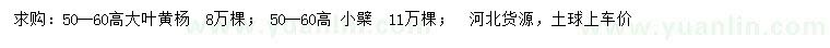 求購(gòu)高50-60公分大葉黃楊、小檗
