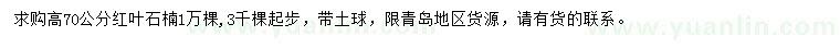 求購高70公分紅葉石楠
