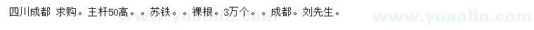 求購(gòu)高50公分蘇鐵