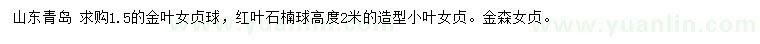 求購金葉女貞球、紅葉石楠球、小葉女貞等