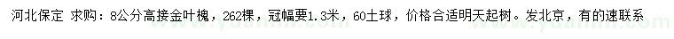 求購8公分高接金葉槐