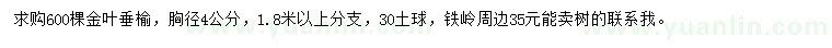 求購胸徑4公分金葉垂榆