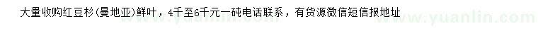 求購紅豆杉(（地亞）鮮葉