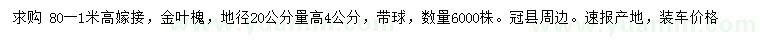 求購地徑20公分量高4公分嫁接金葉槐