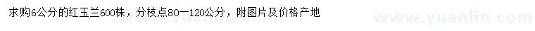 求購6公分紅玉蘭