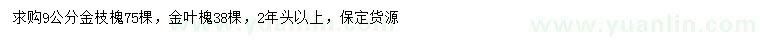 求購9公分金枝槐、金葉槐