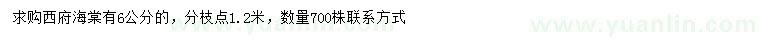 求購6公分西府海棠