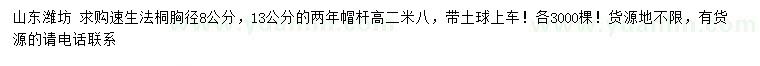 求購胸徑8、13公分速生法桐