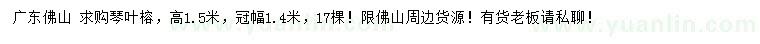 求購(gòu)高1.5米琴葉榕