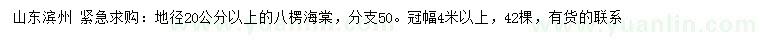 求購地徑20公分以上八棱海棠