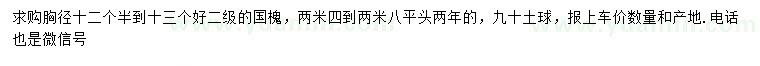 求購胸徑12.5-13公分國槐